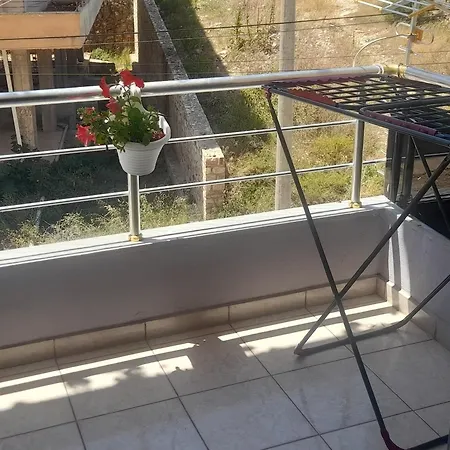 Exotic In Apartament *